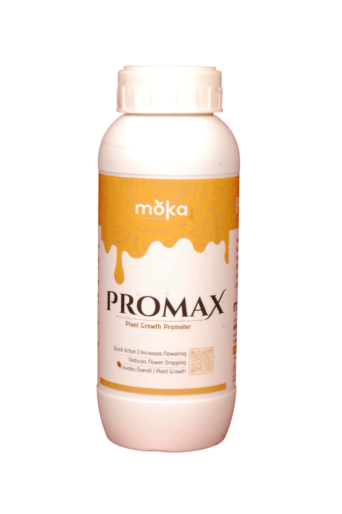 PROMAX